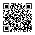 QR code zu den Gipfel Store Vakkastinden