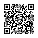 QR code zu den Gipfel  Palenice
