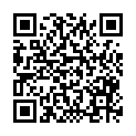 QR code zu den Gipfel  Schönpleiskopf