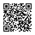 QR code zu den Gipfel  Stock