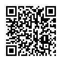 QR code zu den Gipfel  P. 2912