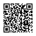 QR code zu den Gipfel  P. 2726