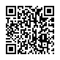 QR code zu den Gipfel  P. 2930