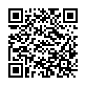 QR code zu den Gipfel Vogllug