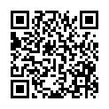 QR code zu den Gipfel  P. 2038