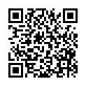 QR code zu den Gipfel  P. 2078