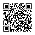 QR code zu den Gipfel  Palingkogel