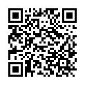 QR code zu den Gipfel  Burgstall