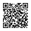 QR code zu den Gipfel  Planbühel