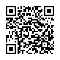 QR code zu den Gipfel  Punta Laris