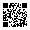 QR code zu den Gipfel Groppo delle Ali