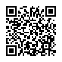 QR code zu den Gipfel  Salneck
