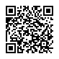QR code zu den Gipfel  P.738
