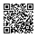 QR code zu den Gipfel Punta Palasina