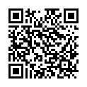 QR code zu den Gipfel  Hochholder