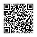 QR code zu den Gipfel  Bleikogel