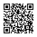 QR code zu die Hütte  Bismarckturm