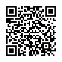 QR code zu die Hütte Birkleshütte