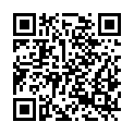 QR code zu  Parkplatz 100538