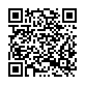 QR code zu Hohes Schloss