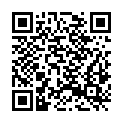 QR code zu  Stari grad