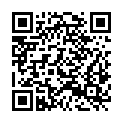 QR code zu Hotel Pointer