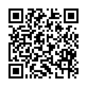 QR code zu  P1