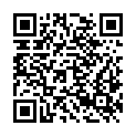 QR code zu P30