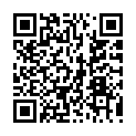 QR code zu Molo IV