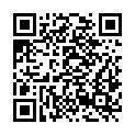 QR code zu P2 Feringasee