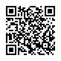 QR code zu Schadenmühleplatz