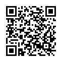 QR code zu Netto