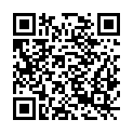 QR code zu P179
