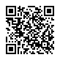 QR code zu P 4