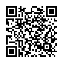 QR code zu  Domplatz