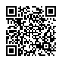 QR code zu Finnenbahn
