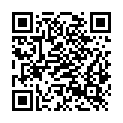 QR code zu  Park and Ride Birkfeld