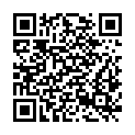 QR code zu Schlossparkplatz