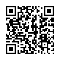 QR code zu P19