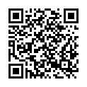 QR code zu  Piazzale Roma