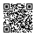 QR code zu Lidl Parkplatz