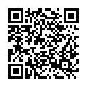 QR code zu Lederstraße