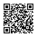QR code zu Lidlparkplatz