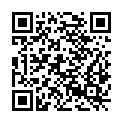 QR code zu Netto