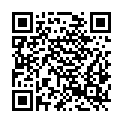 QR code zu Villingen