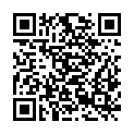 QR code zu Zoll-Vorstauraum