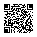 QR code zu  Stadtschloss
