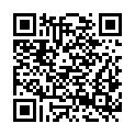 QR code zu Schlehdorfer Kreuz