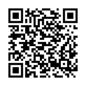 QR code zu  Limmernsee Stollen