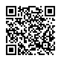 QR code zu  Miners Village